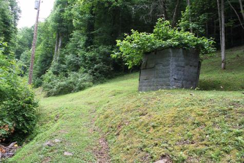 2495 Bergoo Road Bergoo WV 26298