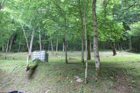 2495 Bergoo Road Bergoo WV 26298