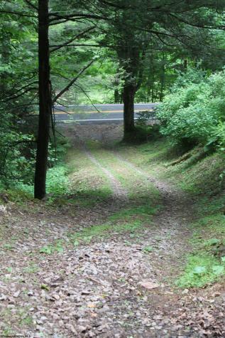 2495 Bergoo Road Bergoo WV 26298