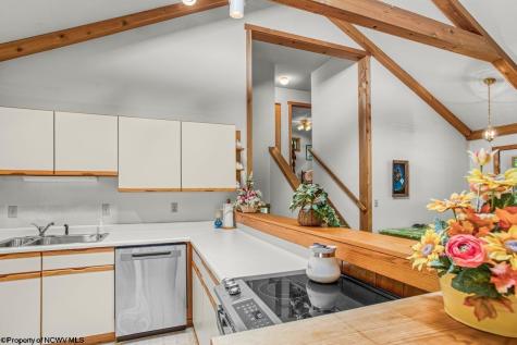 1002 Goldenrod Drive Terra Alta WV 26764