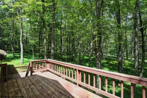1002 Goldenrod Drive Terra Alta WV 26764