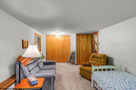 1002 Goldenrod Drive Terra Alta WV 26764