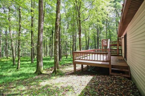 1002 Goldenrod Drive Terra Alta WV 26764