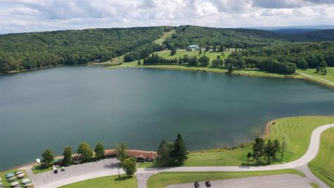 1002 Goldenrod Drive Terra Alta WV 26764