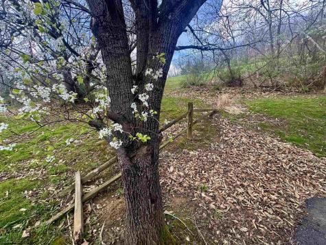 672 Buffalo Brink Road Mannington WV 26582
