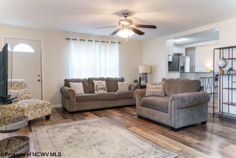 232 Del Dew Drive Bridgeport WV 26330