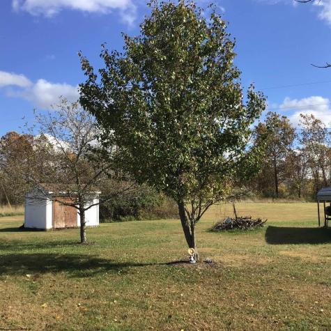 3443 Stewartstown Road Morgantown WV 26508