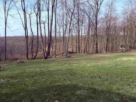 3151 Dogtown Road Reedsville WV 26547