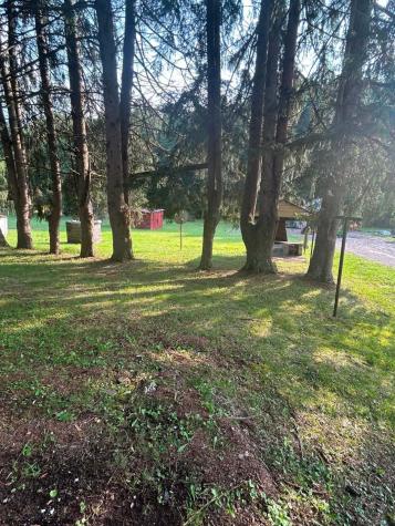 333 Buckhannon Mountain Road Buckhannon WV 26201