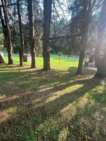 333 Buckhannon Mountain Road Buckhannon WV 26201