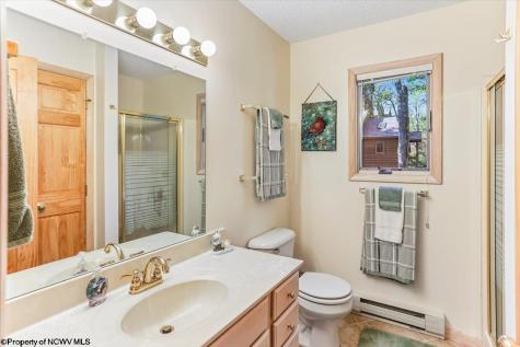 128 Forest Ridge Road Davis WV 26260