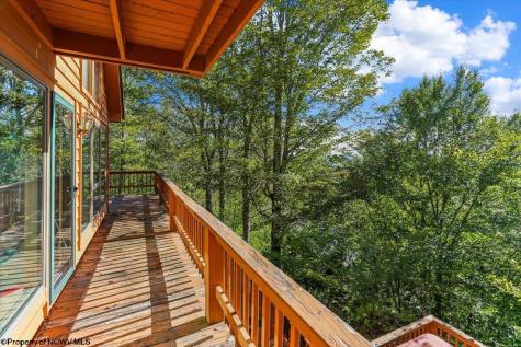 128 Forest Ridge Road Davis WV 26260