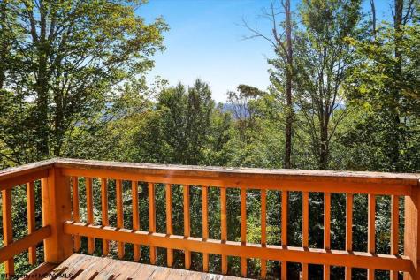 128 Forest Ridge Road Davis WV 26260