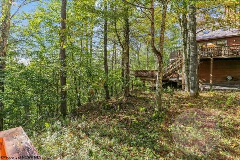 128 Forest Ridge Road Davis WV 26260