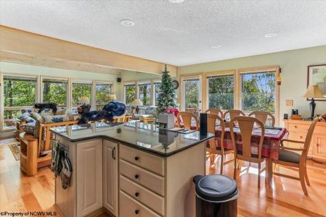128 Forest Ridge Road Davis WV 26260