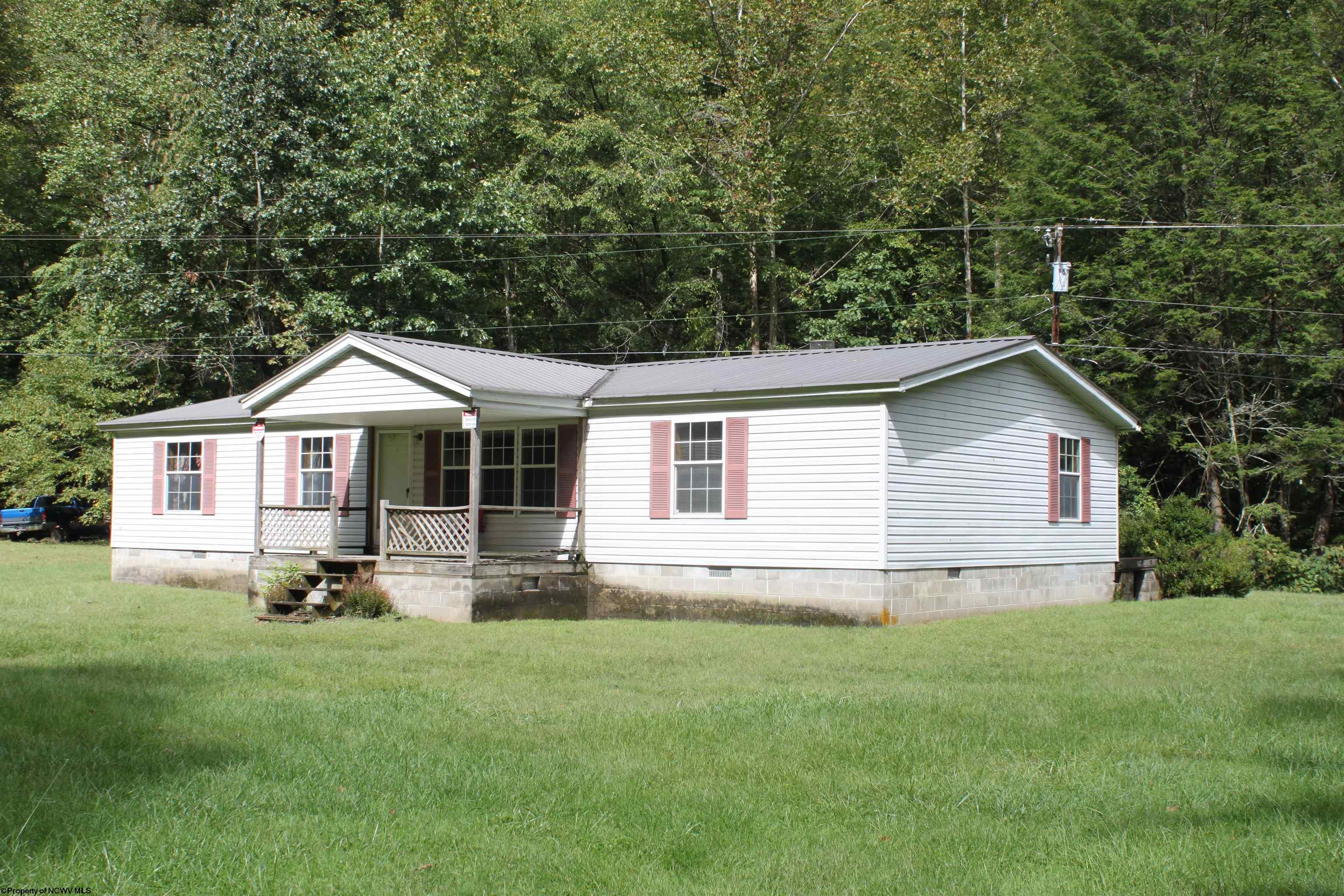 4477 Diana Drive Webster Springs WV 26288-0000
