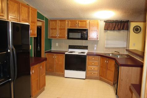 4477 Diana Drive Webster Springs WV 26288-0000