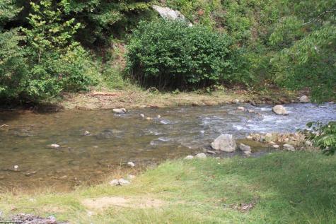 4477 Diana Drive Webster Springs WV 26288-0000