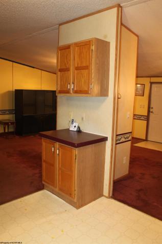 4477 Diana Drive Webster Springs WV 26288-0000