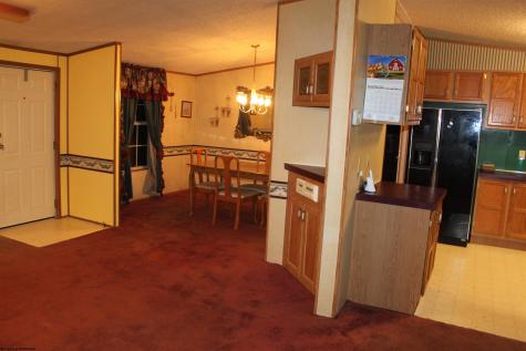 4477 Diana Drive Webster Springs WV 26288-0000