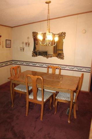4477 Diana Drive Webster Springs WV 26288-0000
