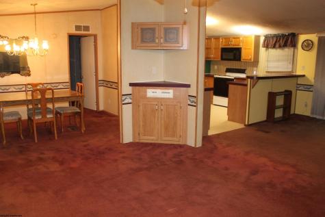 4477 Diana Drive Webster Springs WV 26288-0000
