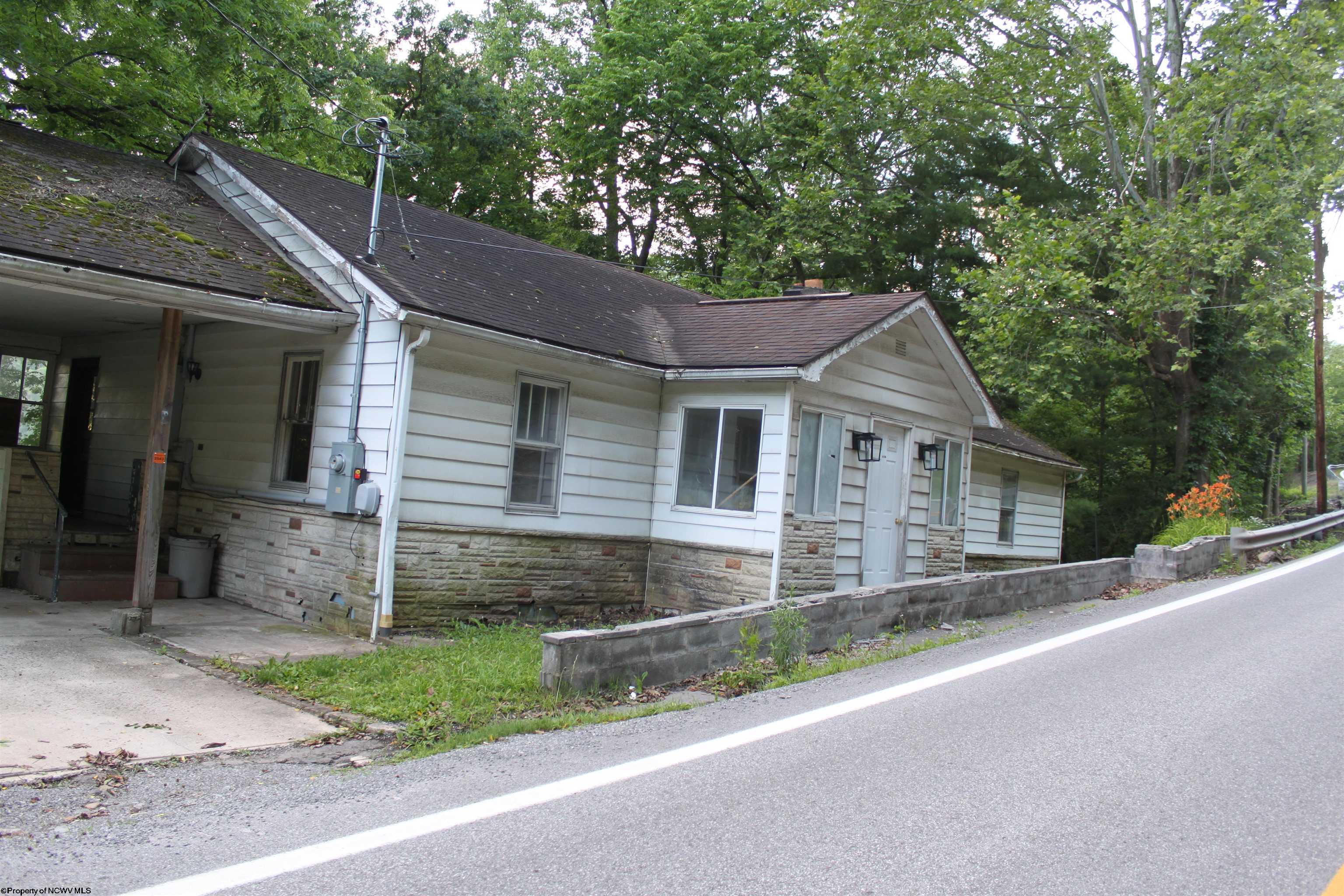239 Diana Drive Webster Springs WV 26288