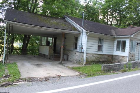 239 Diana Drive Webster Springs WV 26288