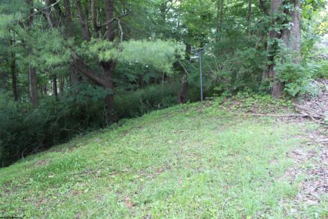 239 Diana Drive Webster Springs WV 26288