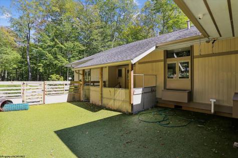 57 Sand Springs Drive Davis WV 26260