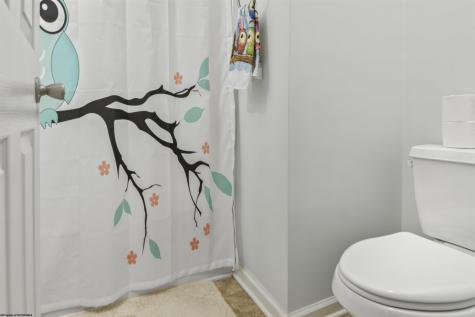 513 Birdie Court Maidsville WV 26541