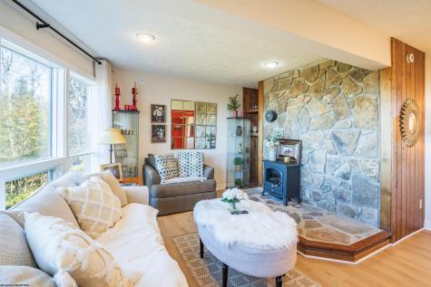 1681 Mountainside Road Davis WV 26260