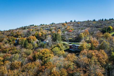 1681 Mountainside Road Davis WV 26260