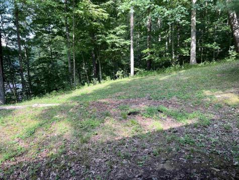 1794 Lake Floyd Circle Bristol WV 26426-000