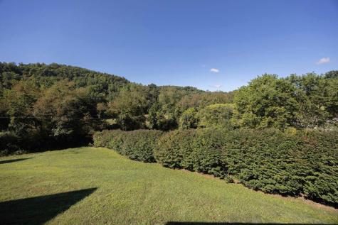 242 Linmad Lane Lost Creek WV 26385