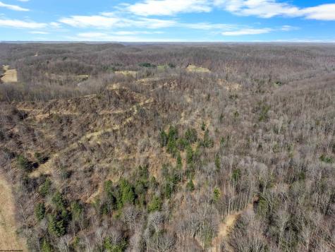 4231 Canaan Road Rock Cave WV 26234