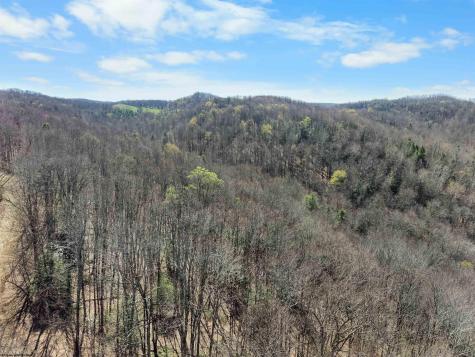 4231 Canaan Road Rock Cave WV 26234