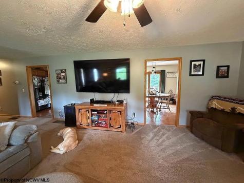 170 Jimtown Road Coalton WV 26257