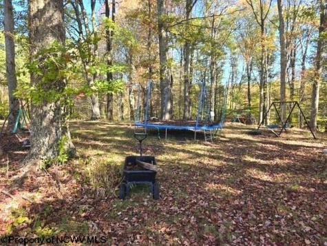 540 Cherry Run Road Craigsville WV 26205