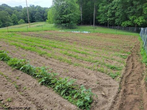 540 Cherry Run Road Craigsville WV 26205