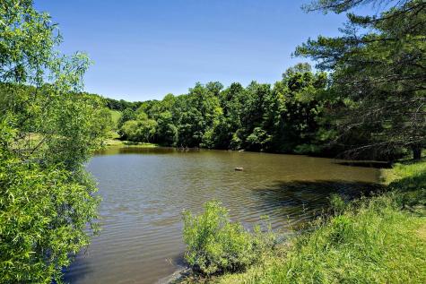 54 Double Pond Drive Bridgeport WV 26330