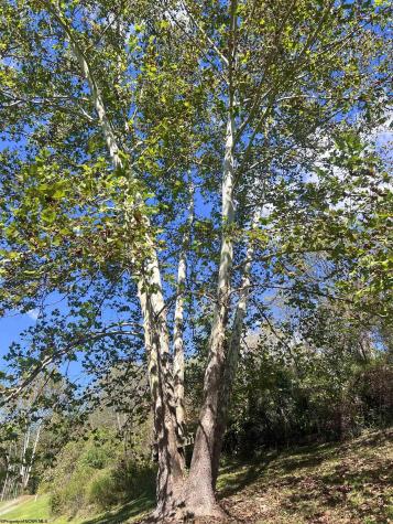 0 Green Valley Road Bridgeport WV 26330