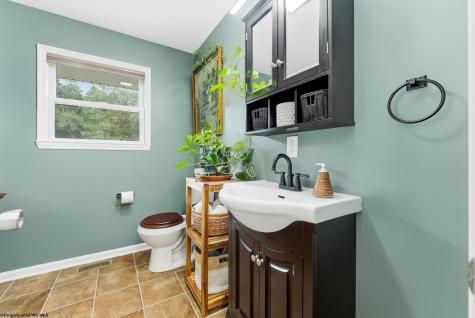 188 Whitetail Drive Albright WV 26519