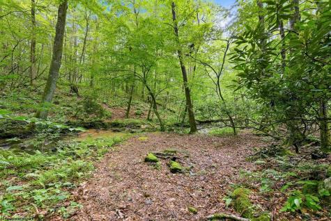 188 Whitetail Drive Albright WV 26519
