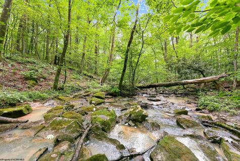188 Whitetail Drive Albright WV 26519