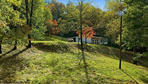 50 Scott Drive Grafton WV 26354
