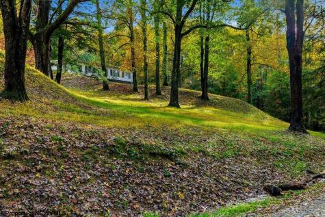 50 Scott Drive Grafton WV 26354