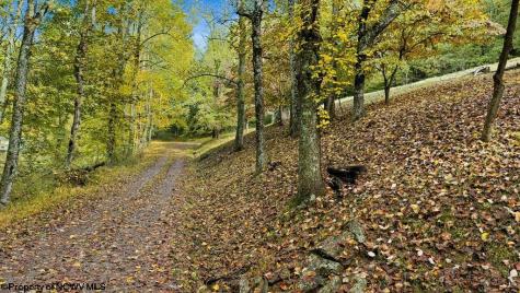 50 Scott Drive Grafton WV 26354