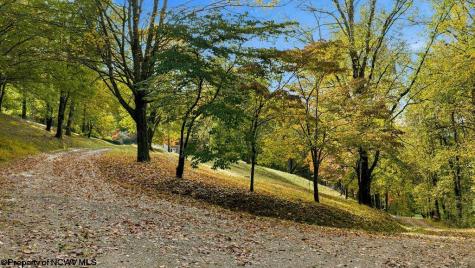 50 Scott Drive Grafton WV 26354