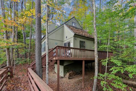 30 Yogi Court Davis WV 26260